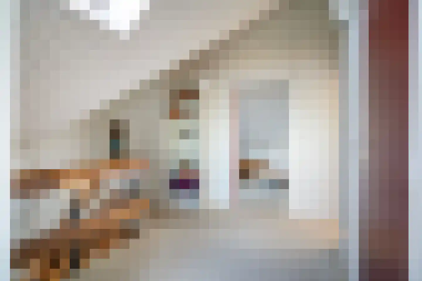 De Hannen 6 Oudega thumbnail 26