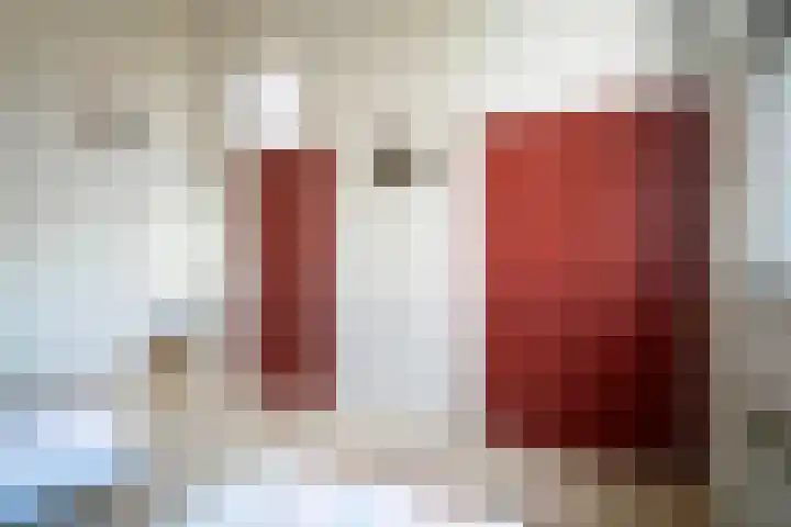 De Hannen 6 Oudega thumbnail 28