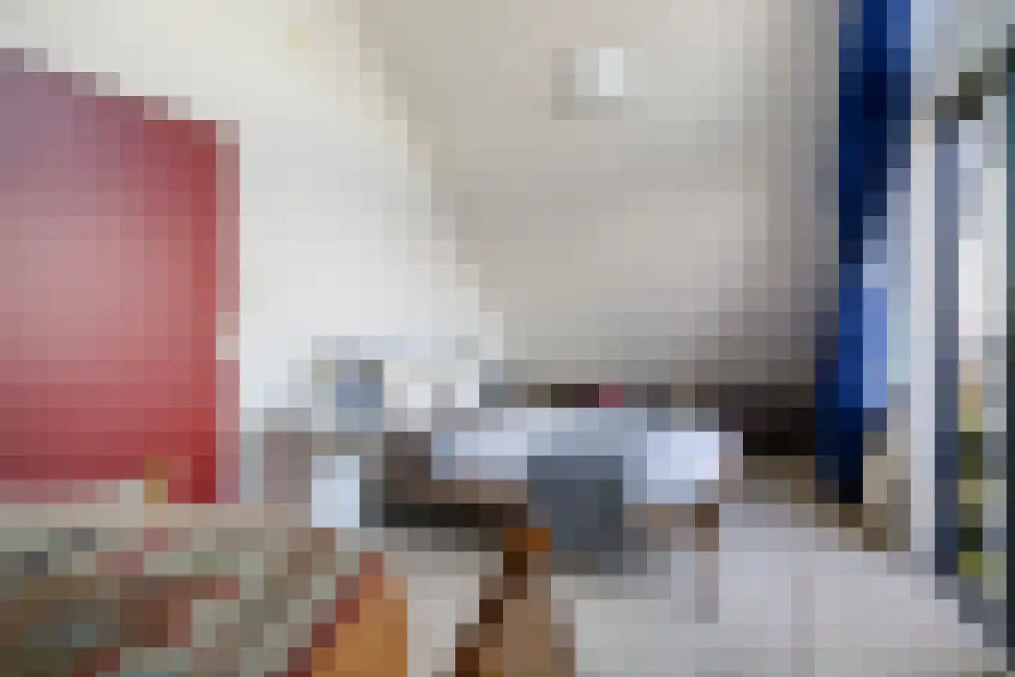 De Hannen 6 Oudega thumbnail 29