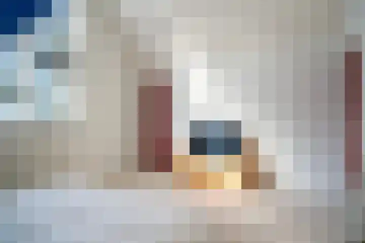 De Hannen 6 Oudega thumbnail 32