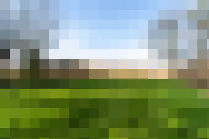 De Hannen 6 Oudega thumbnail 39