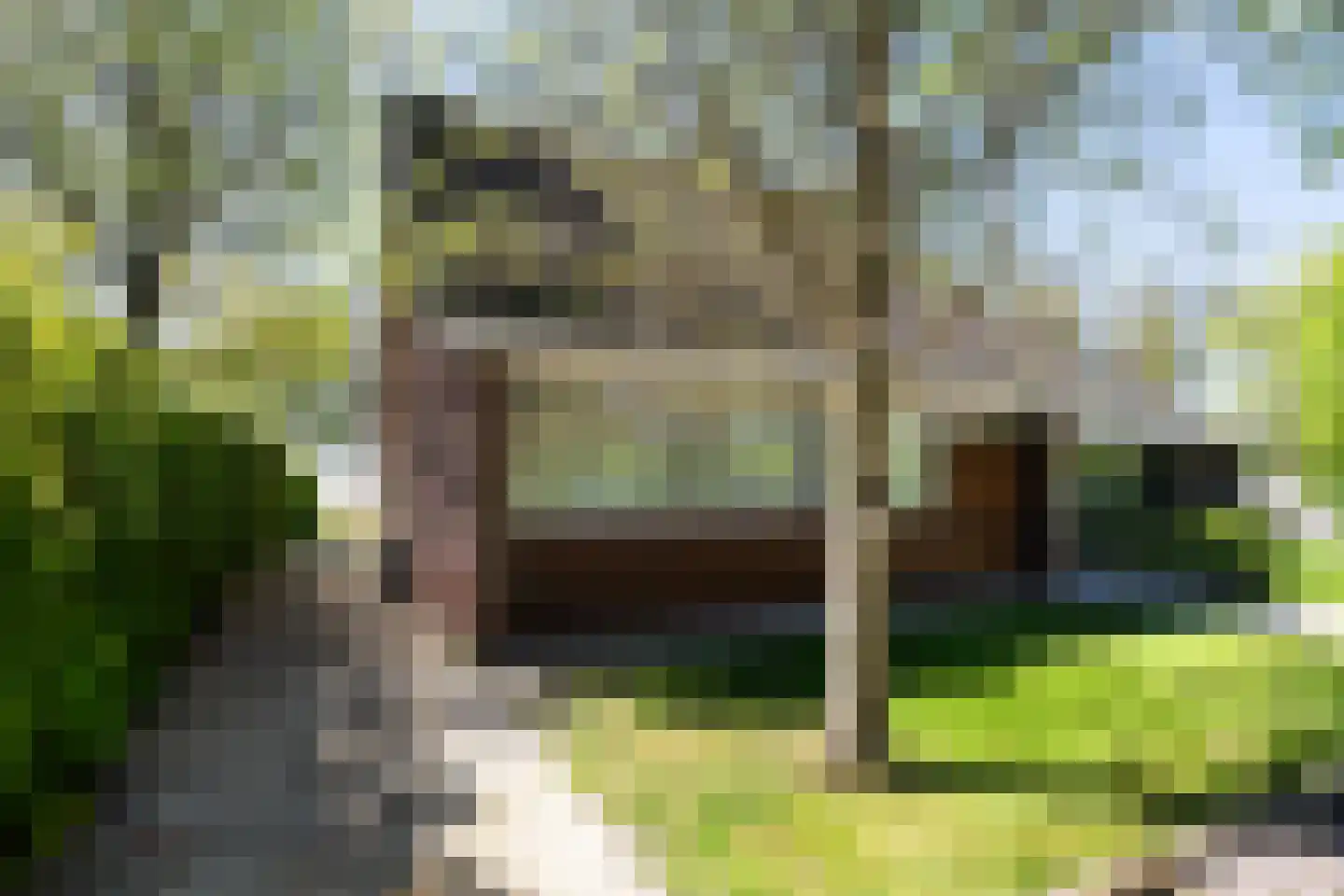 De Hannen 6 Oudega thumbnail 39