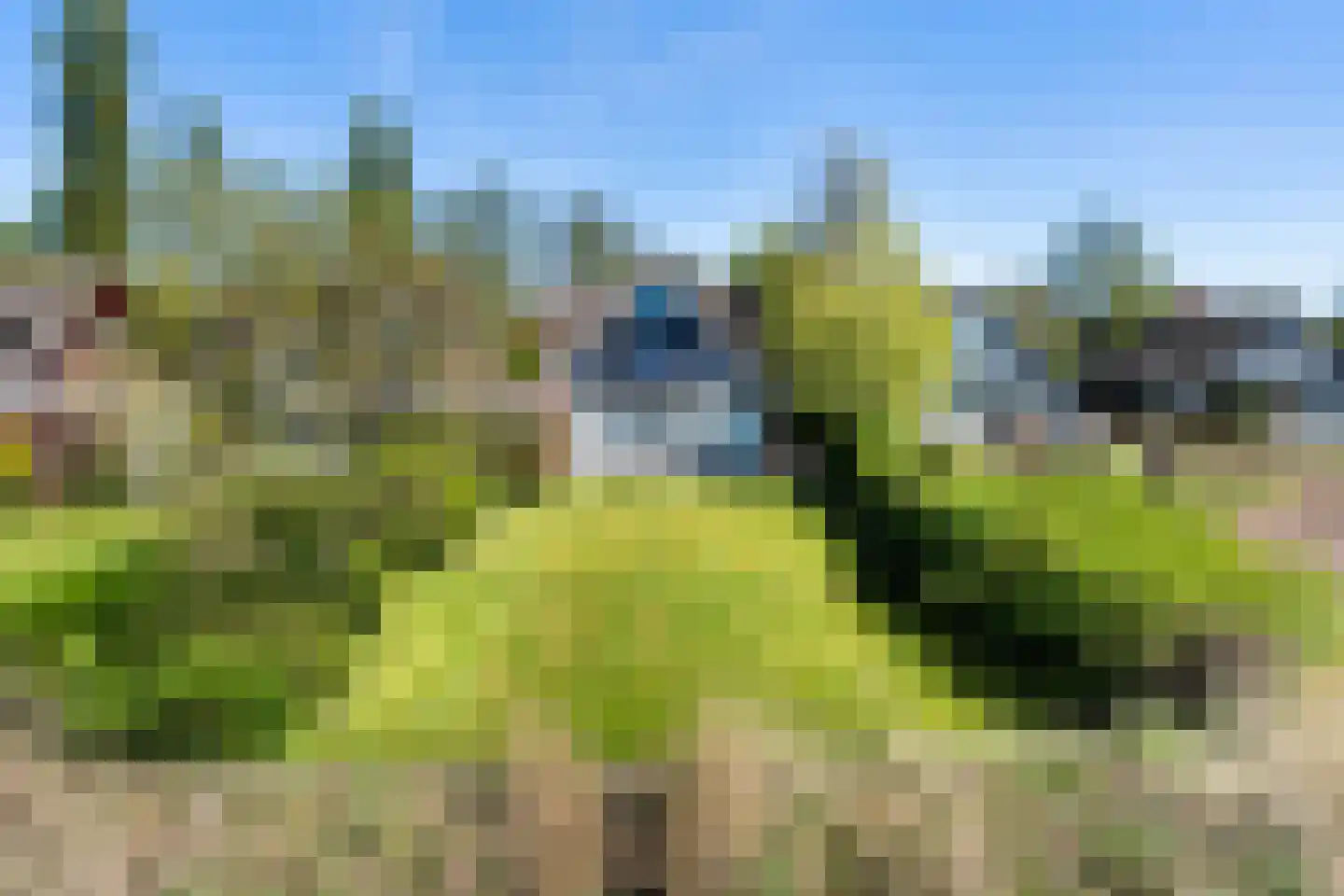 De Hannen 6 Oudega thumbnail 43
