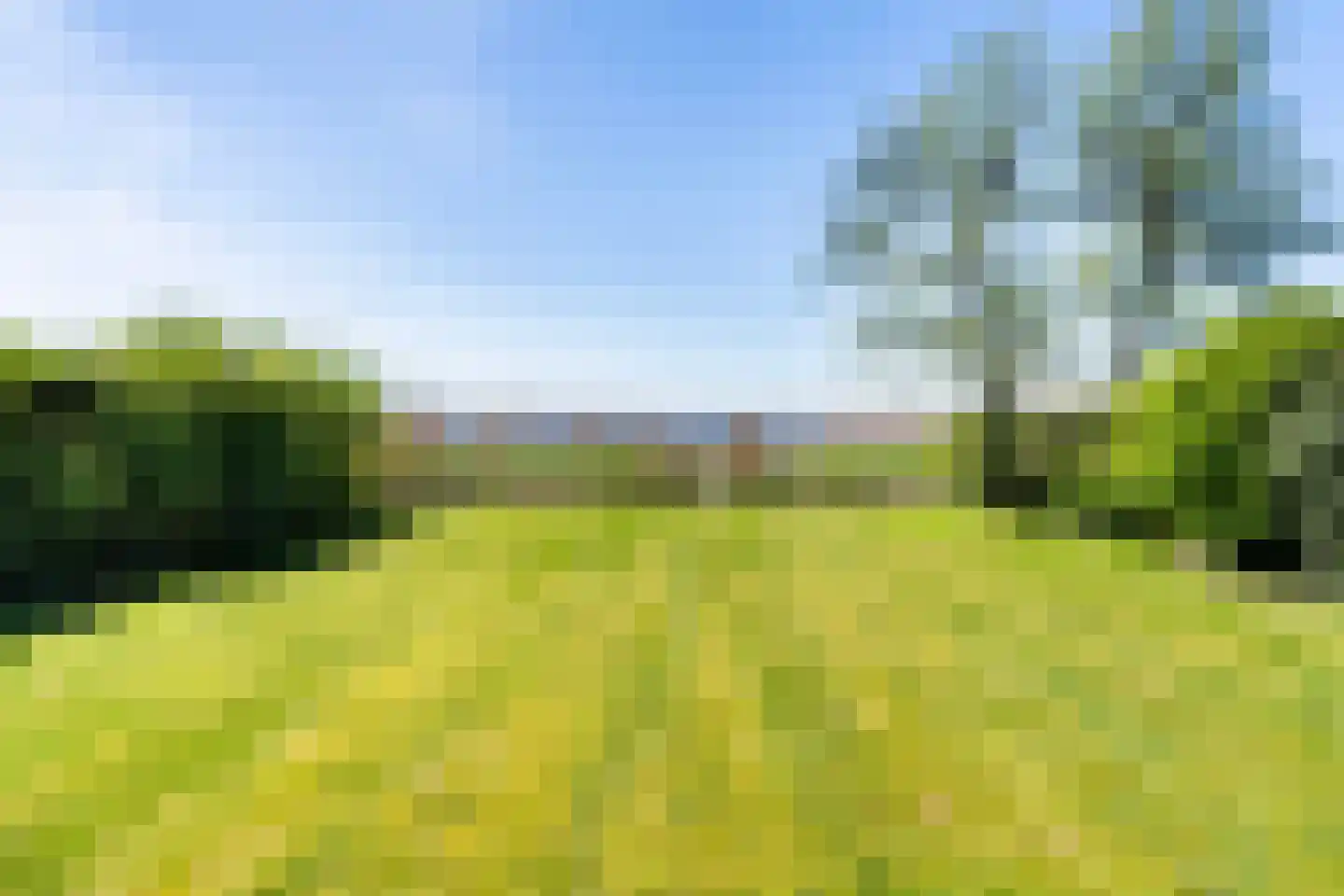 De Hannen 6 Oudega thumbnail 45