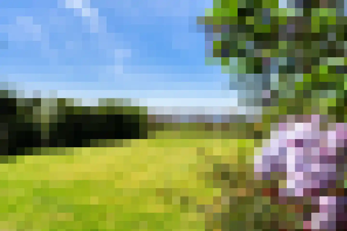 De Hannen 6 Oudega thumbnail 46