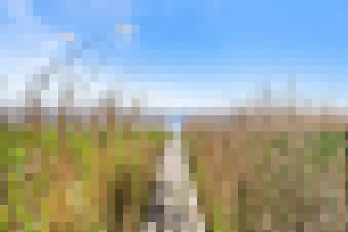 De Hannen 6 Oudega thumbnail 47