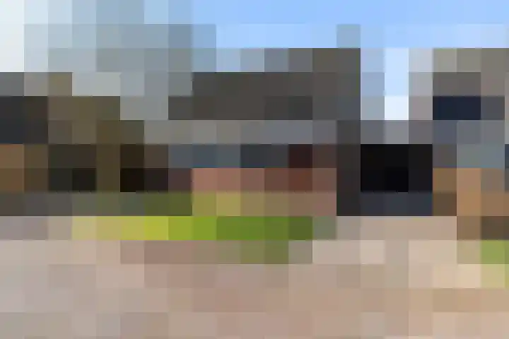 De Hannen 6 Oudega thumbnail 49