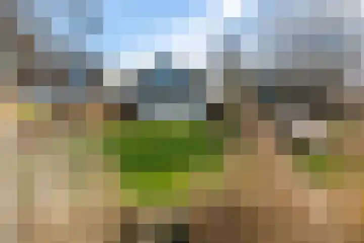 De Hannen 6 Oudega thumbnail 5