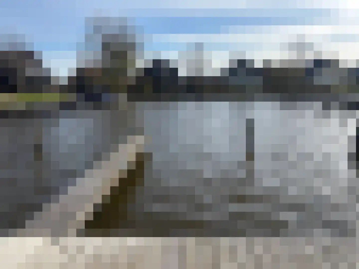 De Hannen 6 Oudega thumbnail 50