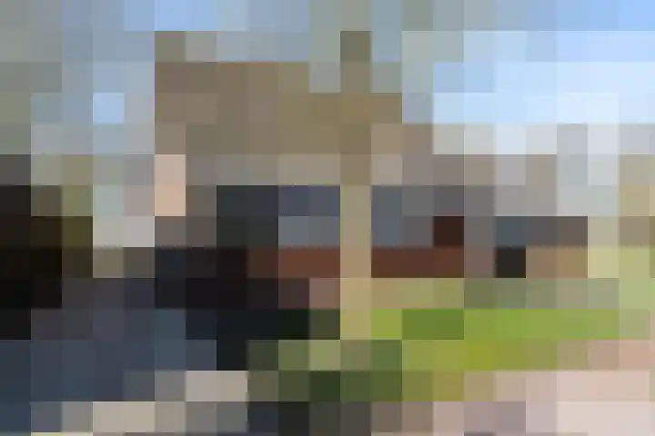 De Hannen 6 Oudega thumbnail 50