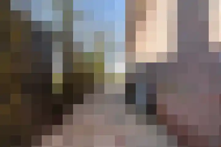 De Hannen 6 Oudega thumbnail 52