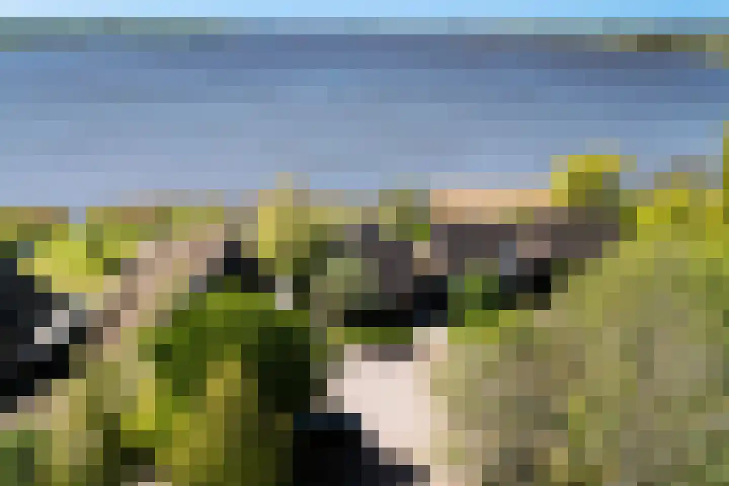 De Hannen 6 Oudega thumbnail 54