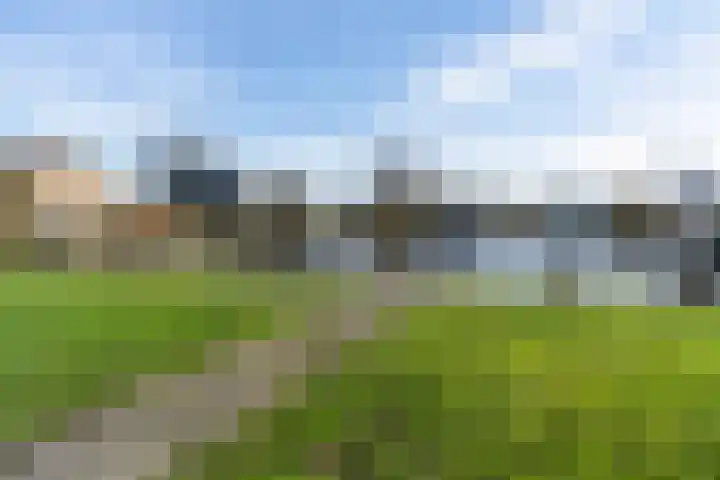 De Hannen 6 Oudega thumbnail 55