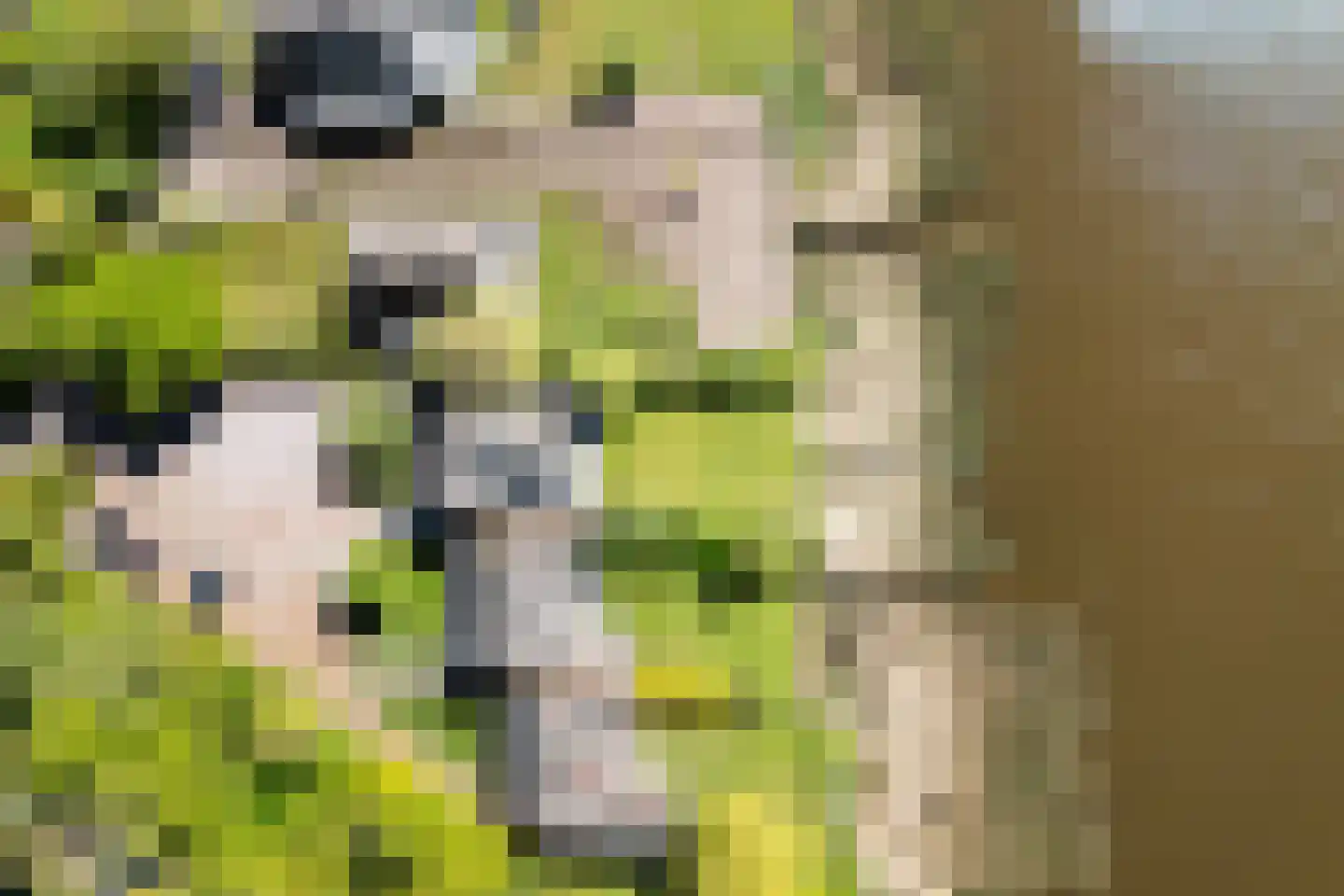 De Hannen 6 Oudega thumbnail 56