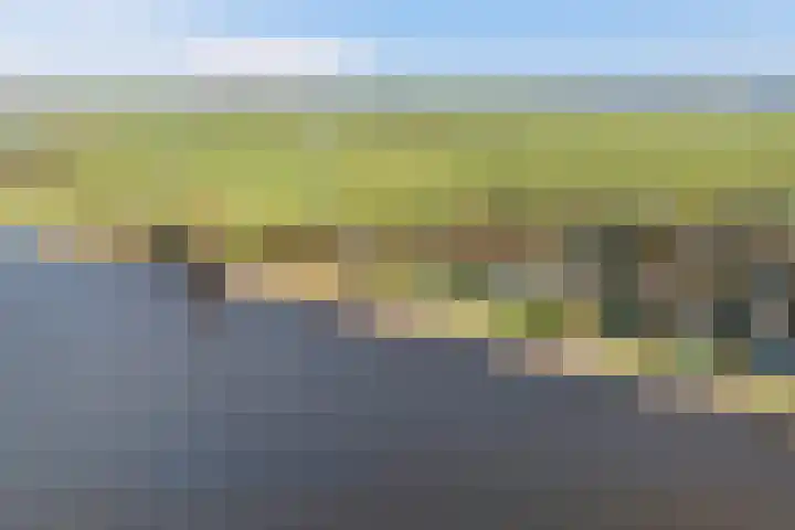 De Hannen 6 Oudega thumbnail 60