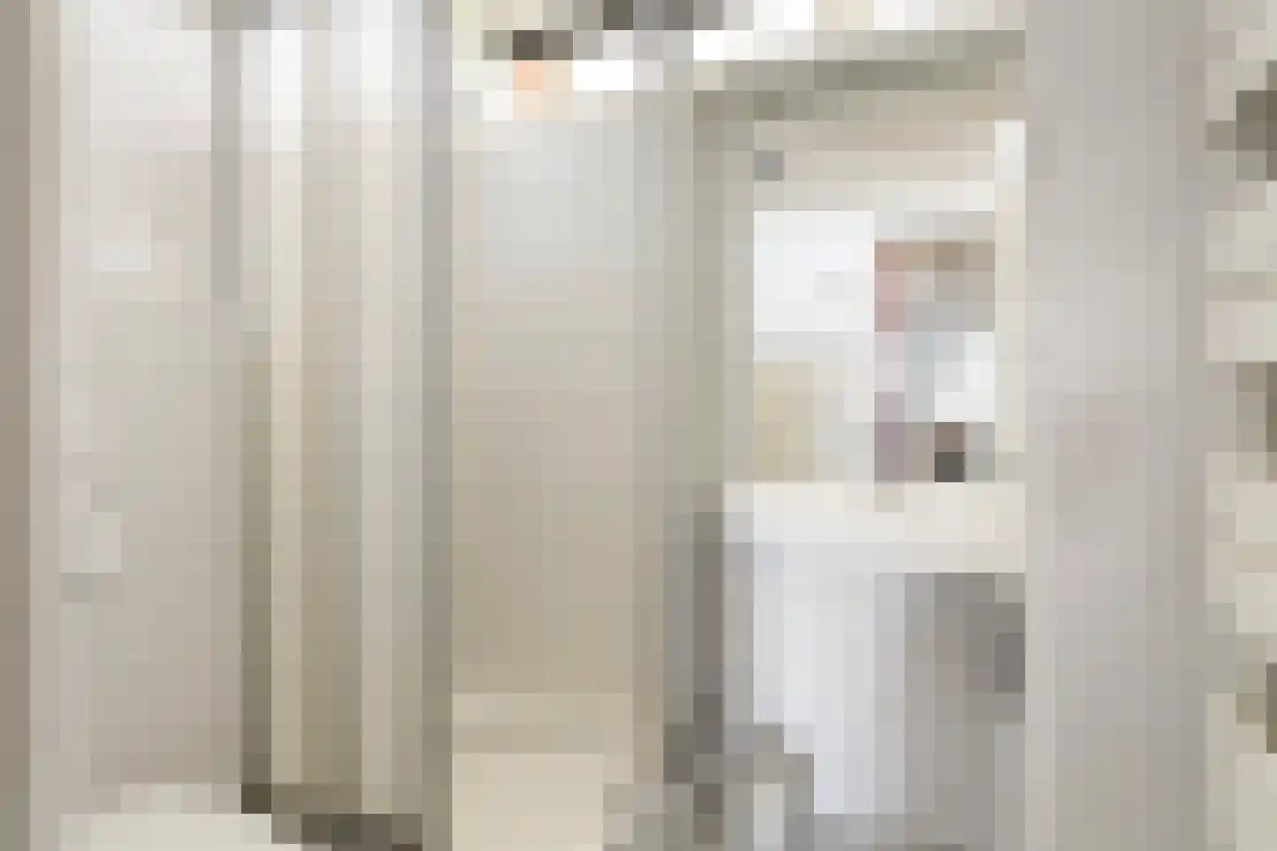 De Hannen 6 Oudega thumbnail 8