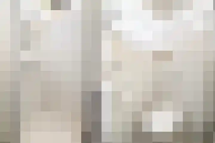De Hannen 6 Oudega thumbnail 9