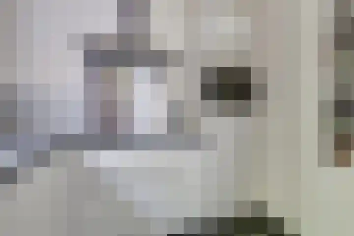De Hare 122 Aalten thumbnail 11