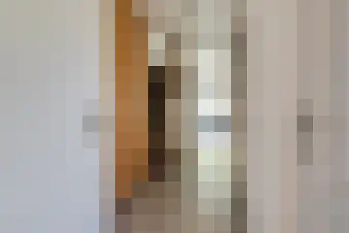 De Hare 122 Aalten thumbnail 12