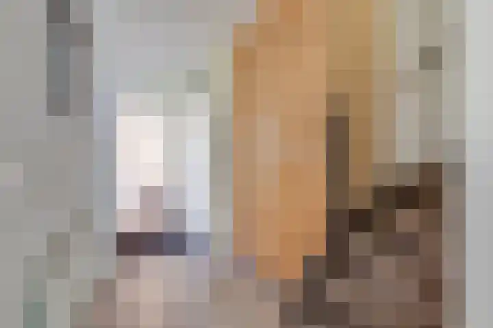 De Hare 122 Aalten thumbnail 13