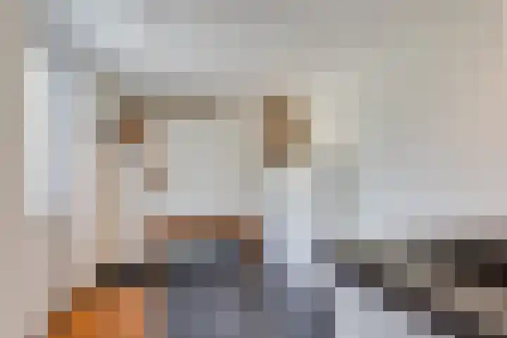 De Hare 122 Aalten thumbnail 15