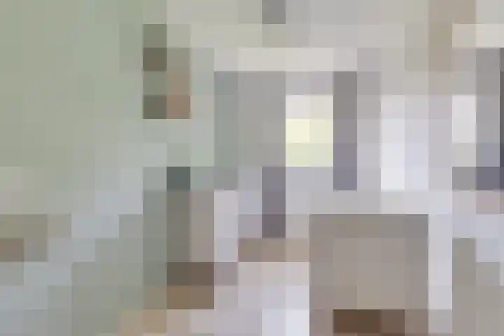 De Hare 122 Aalten thumbnail 23