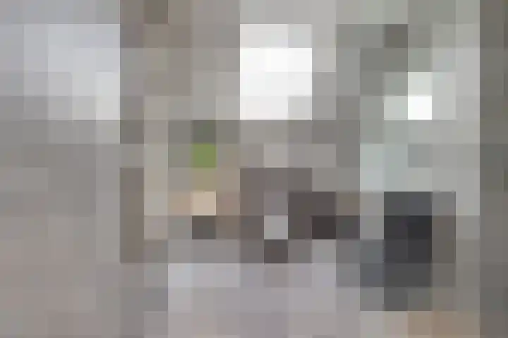 De Hare 122 Aalten thumbnail 24