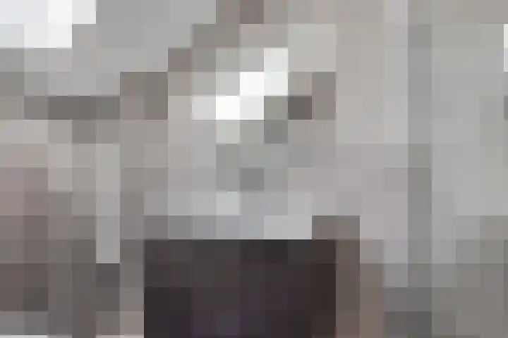 De Hare 122 Aalten thumbnail 25