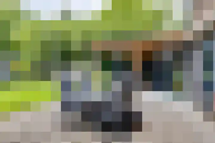 De Hare 122 Aalten thumbnail 30