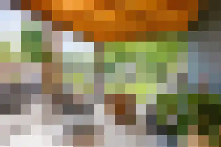 De Hare 122 Aalten thumbnail 32