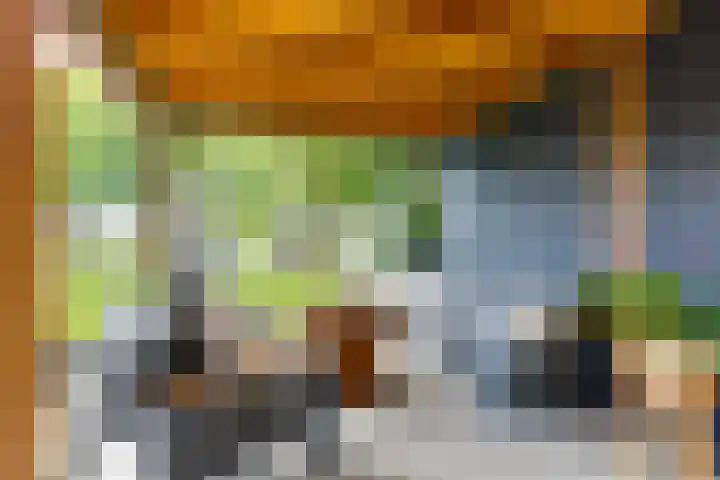 De Hare 122 Aalten thumbnail 34