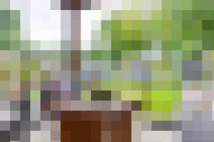 De Hare 122 Aalten thumbnail 35