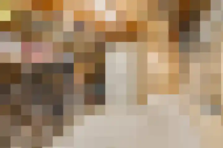 De Hare 122 Aalten thumbnail 36