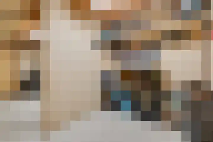 De Hare 122 Aalten thumbnail 37