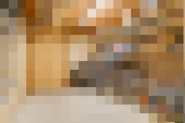 De Hare 122 Aalten thumbnail 38
