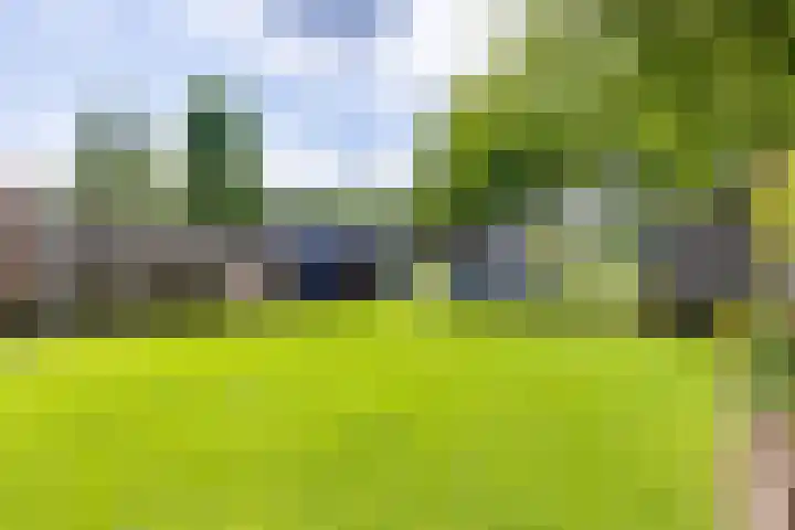 De Hare 122 Aalten thumbnail 39