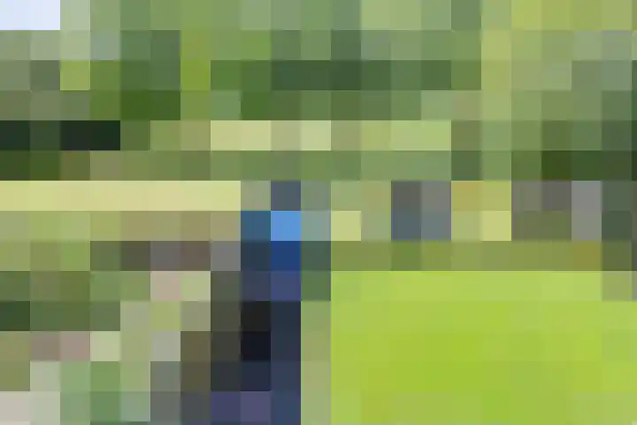 De Hare 122 Aalten thumbnail 40