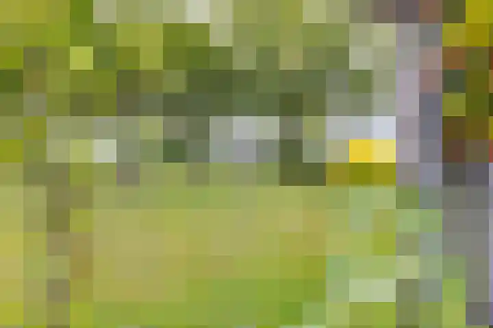 De Hare 122 Aalten thumbnail 41