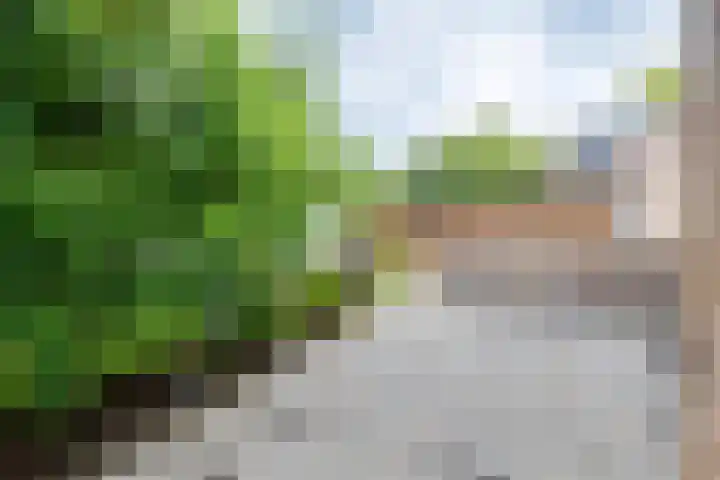 De Hare 122 Aalten thumbnail 44