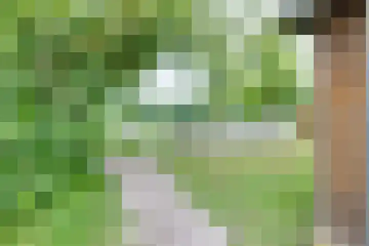 De Hare 122 Aalten thumbnail 45