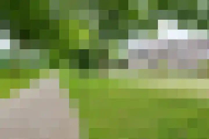 De Hare 122 Aalten thumbnail 46