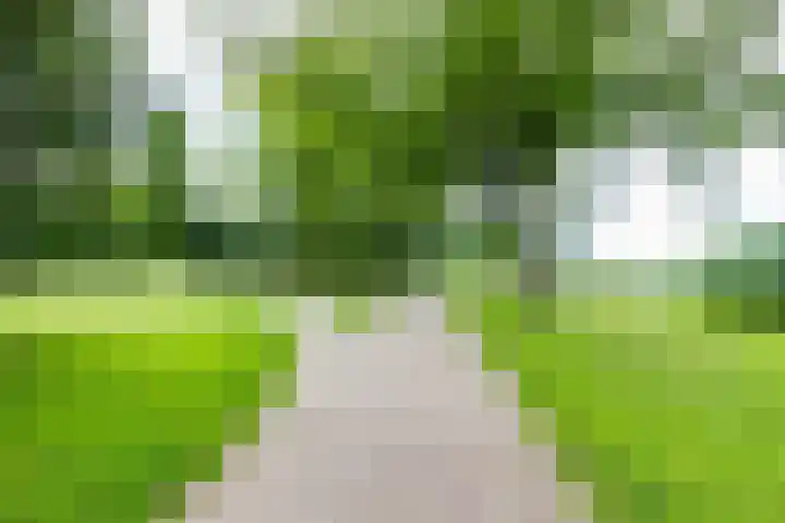 De Hare 122 Aalten thumbnail 47