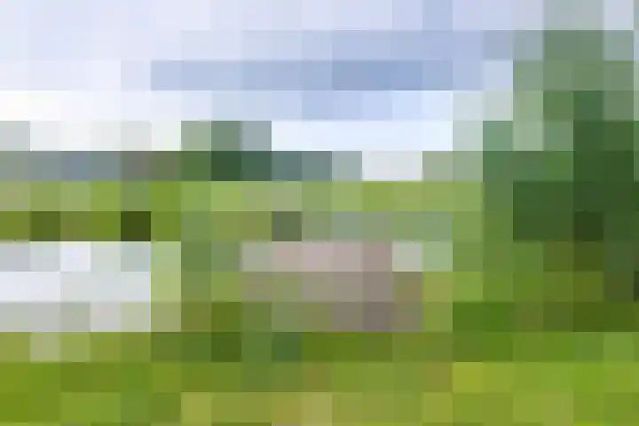 De Hare 122 Aalten thumbnail 48