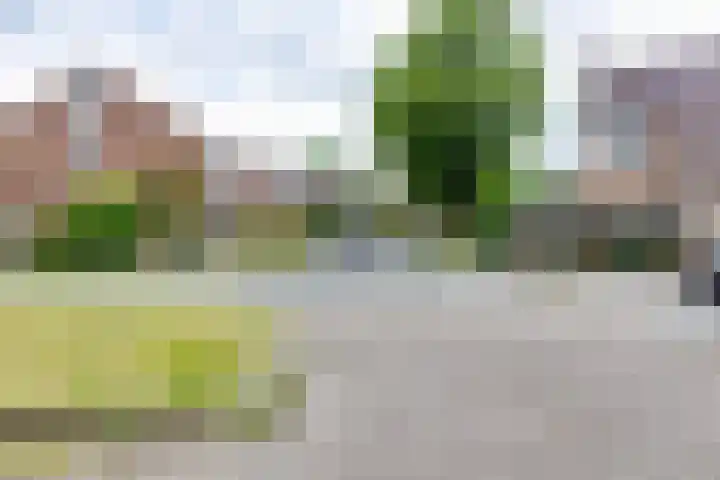 De Hare 122 Aalten thumbnail 49
