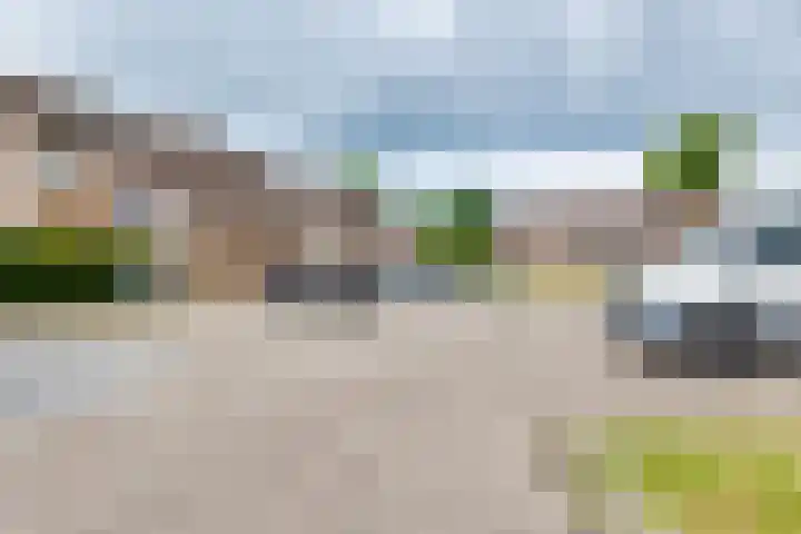 De Hare 122 Aalten thumbnail 50