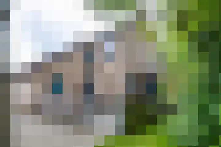 De Hare 122 Aalten thumbnail 59