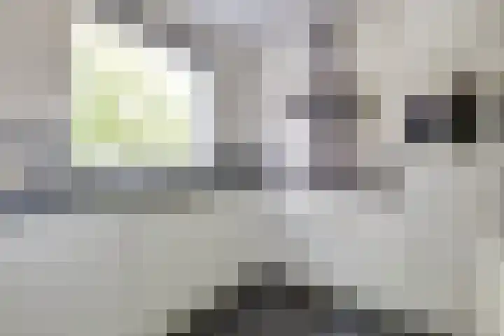 De Hare 122 Aalten thumbnail 9