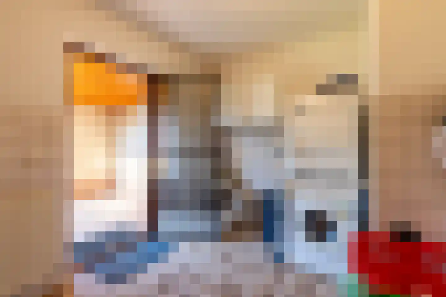 De Hare 5 Aalten thumbnail 10