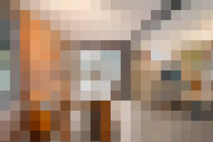 de Hare 55 Oldemarkt thumbnail 17