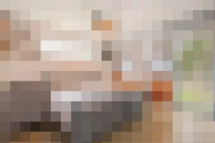 de Hare 55 Oldemarkt thumbnail 30